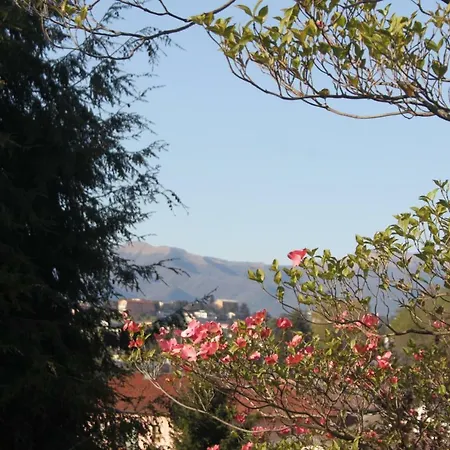 Bed & Breakfast Onorina 3*